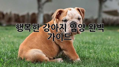 행복한 강아지 입양, 완벽 가이드