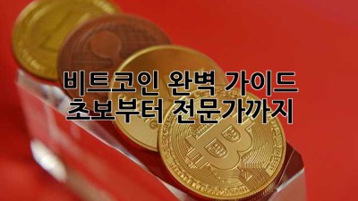 비트코인 완벽 가이드: 초보부터 전문가까지